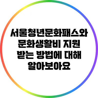 서울청년문화패스와 문화생활비 지원 받는 방법에 대해 알아보아요