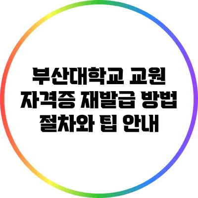 부산대학교 교원 자격증 재발급 방법: 절차와 팁 안내