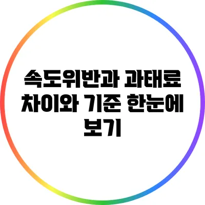 속도위반과 과태료: 차이와 기준 한눈에 보기