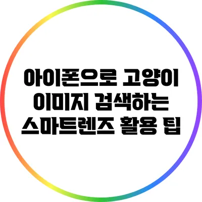 아이폰으로 고양이 이미지 검색하는 스마트렌즈 활용 팁