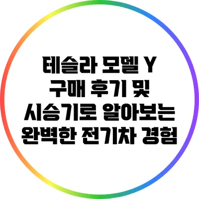 테슬라 모델 Y: 구매 후기 및 시승기로 알아보는 완벽한 전기차 경험