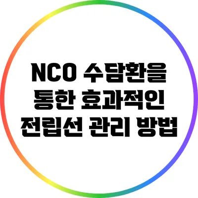 NCO 수담환을 통한 효과적인 전립선 관리 방법