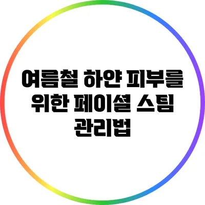 여름철 하얀 피부를 위한 페이셜 스팀 관리법