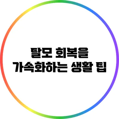 탈모 회복을 가속화하는 생활 팁