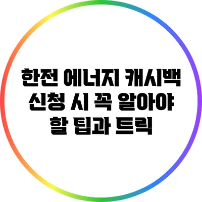 한전 에너지 캐시백 신청 시 꼭 알아야 할 팁과 트릭