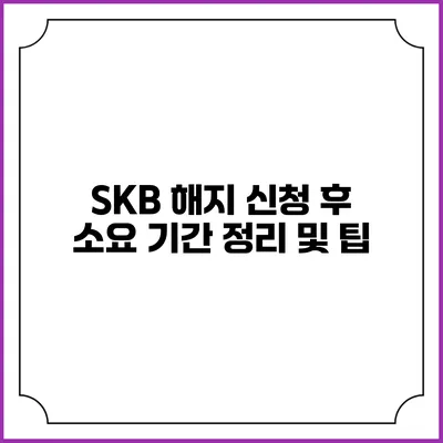SKB 해지 신청 후 소요 기간 정리 및 팁