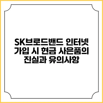 SK브로드밴드 인터넷 가입 시 현금 사은품의 진실과 유의사항