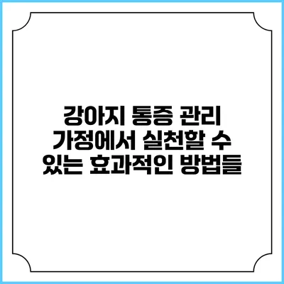 강아지 통증 관리: 가정에서 실천할 수 있는 효과적인 방법들