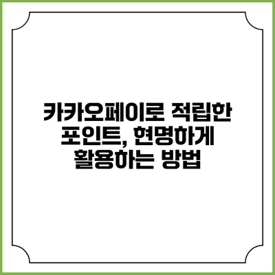 카카오페이로 적립한 포인트, 현명하게 활용하는 방법