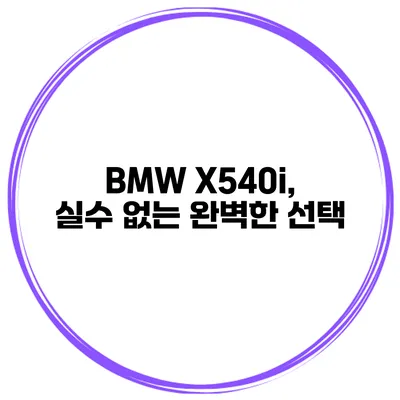 BMW X540i, 실수 없는 완벽한 선택