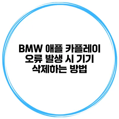 BMW 애플 카플레이 오류 발생 시 기기 삭제하는 방법