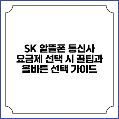 SK 알뜰폰 통신사 요금제 선택 시 꿀팁과 올바른 선택 가이드